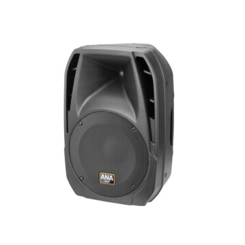 Ahuja VX-200 2-Way PA Speaker
