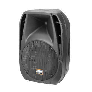 Ahuja VX-300 2-Way PA Speaker