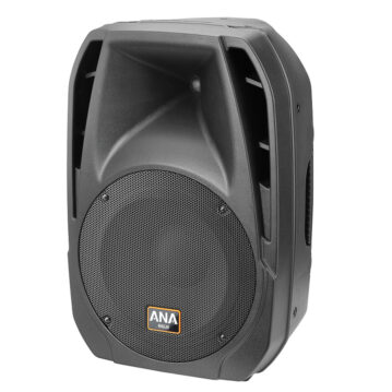 Ahuja VX-400 2-Way PA Speaker